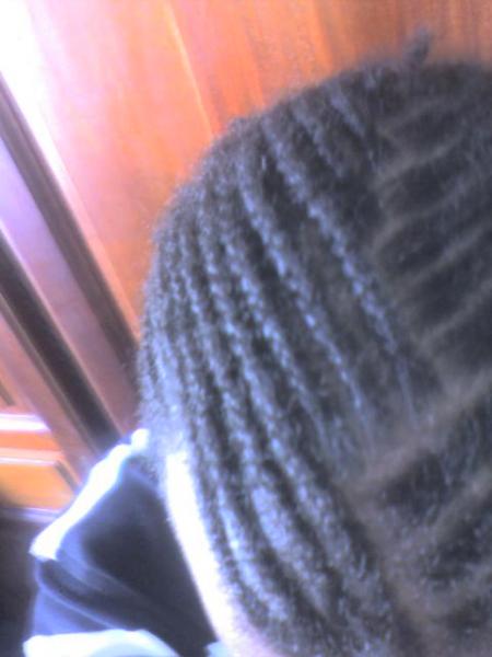  tresss nou